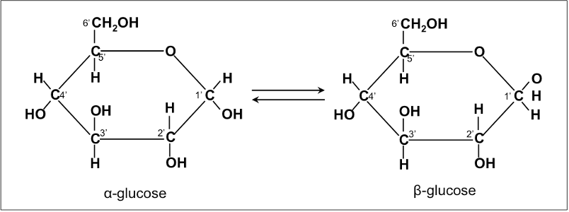 Structure of simple sugars
