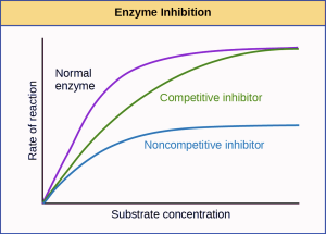 Competitive and noncompetitive inhibition.