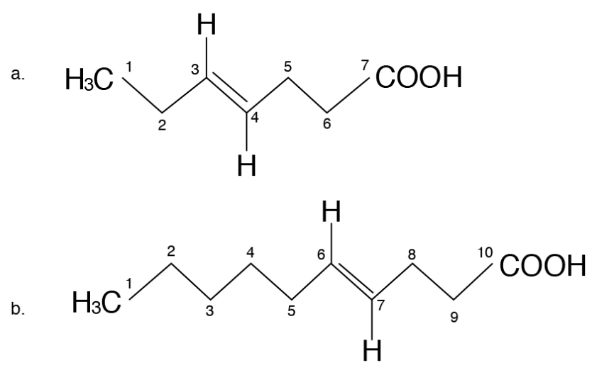 Basic structure of an omega-3 (a) and an omega-6 (b) fatty acid.