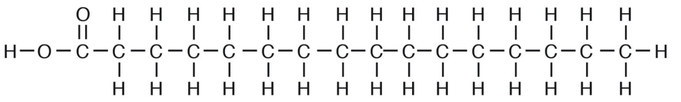 Saturated fatty acid with no double bonds