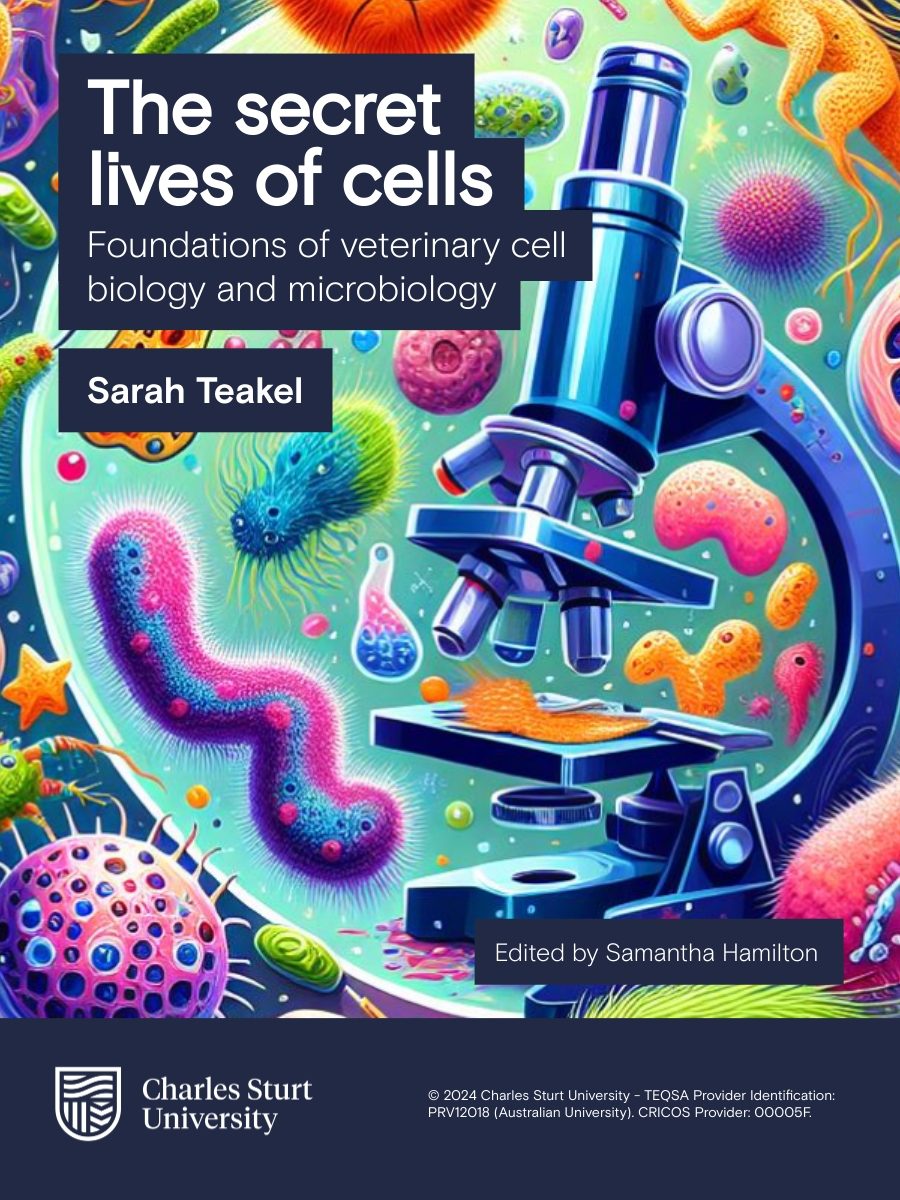 Cover image for The secret lives of cells