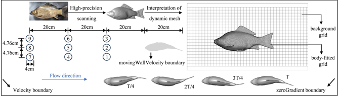 Figure from scholarly article
