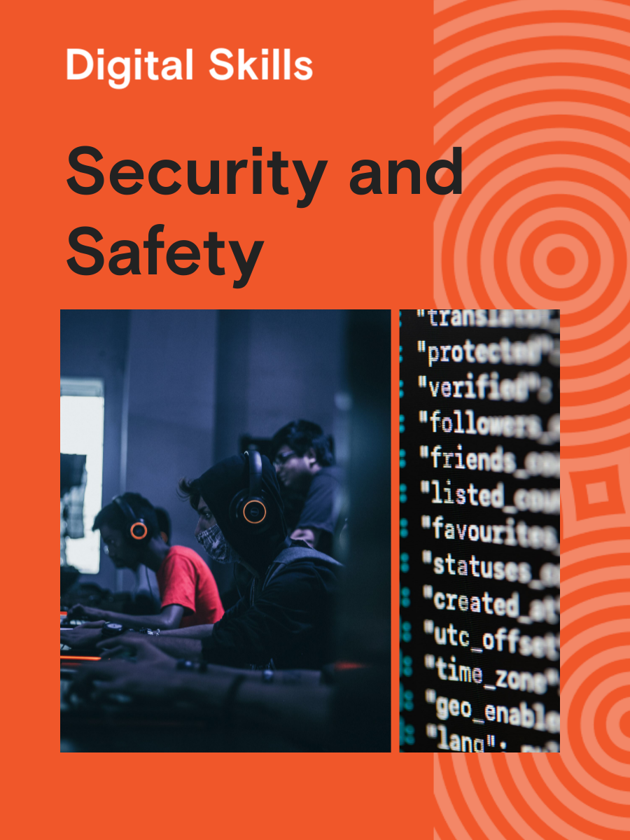 Cover image for Digital Skills: Security and Safety