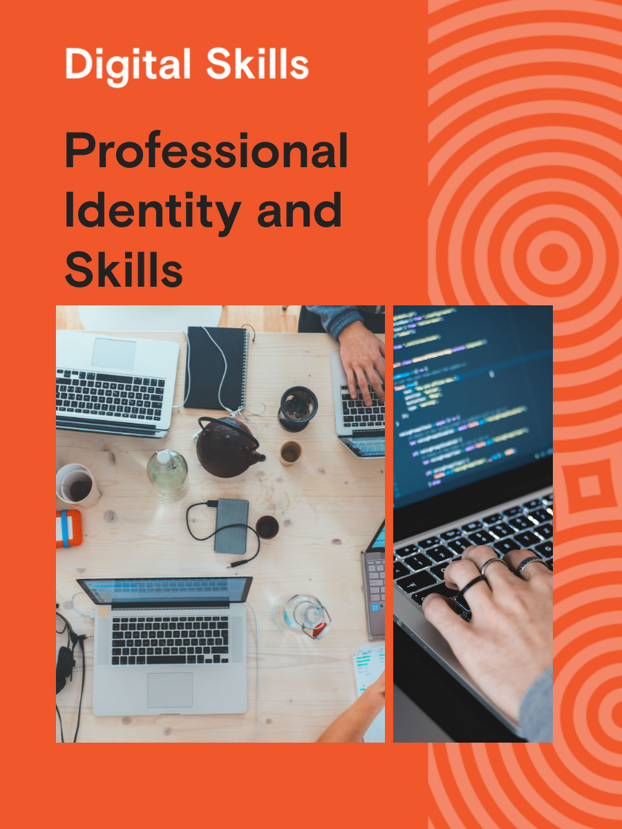 Cover image for Digital Skills: Professional Identity and Skills